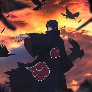 Meet your Posher, Decarlos